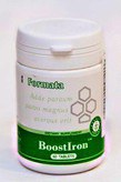 BoostIron ( - Santegra)